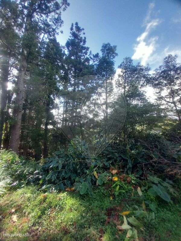 Terreno  para venda - Grande imagem: 5/8