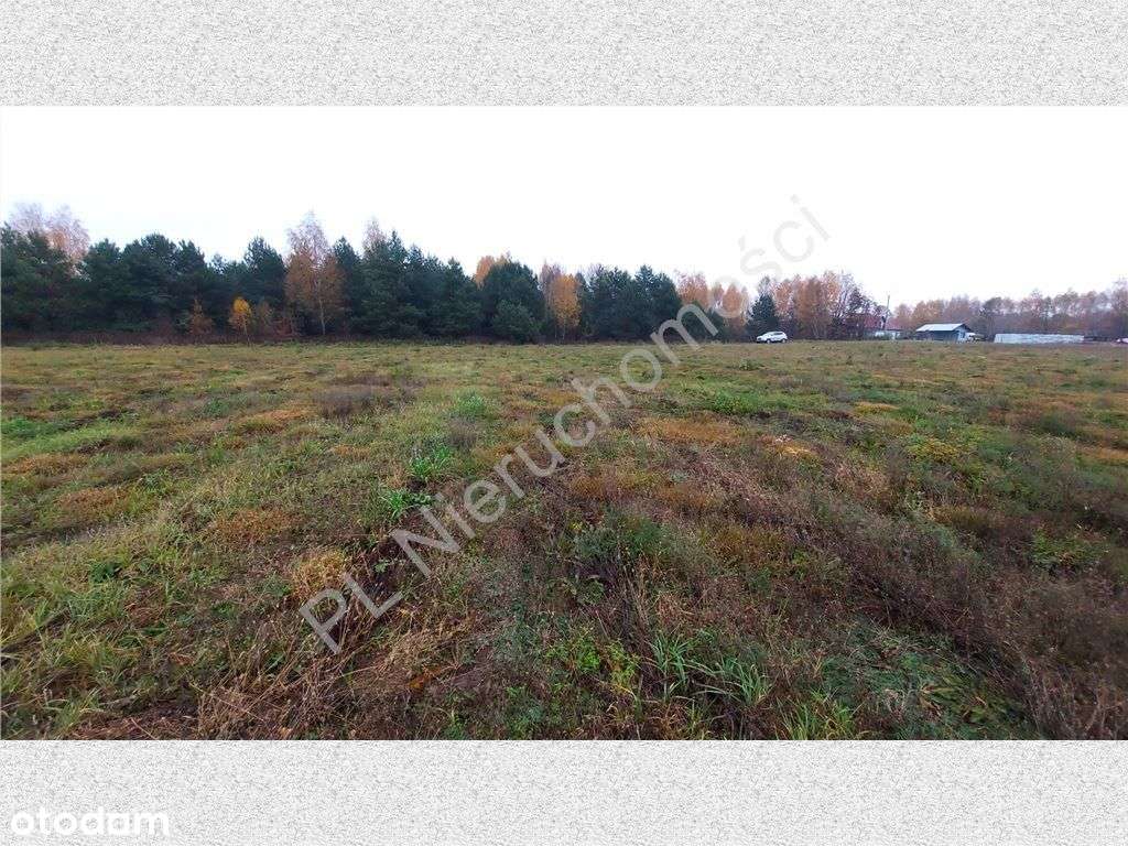 Działka budowlana z wodociągiem. Dojazd A2 i S17! - Pełny obrazek: 4/9