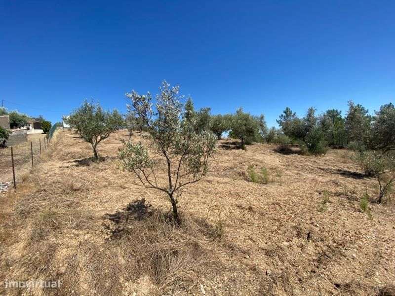 Quinta - Grande imagem: 2/4