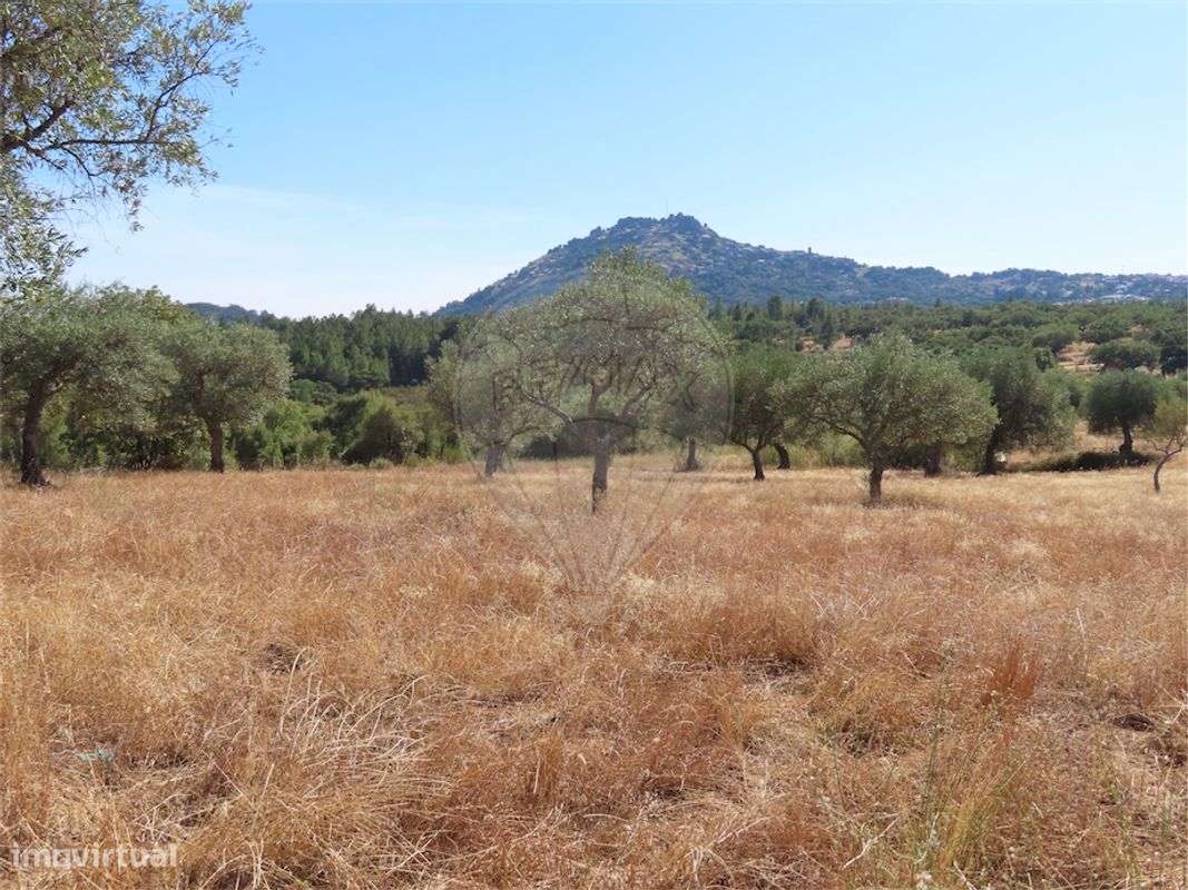 Quinta  para venda - Grande imagem: 2/30