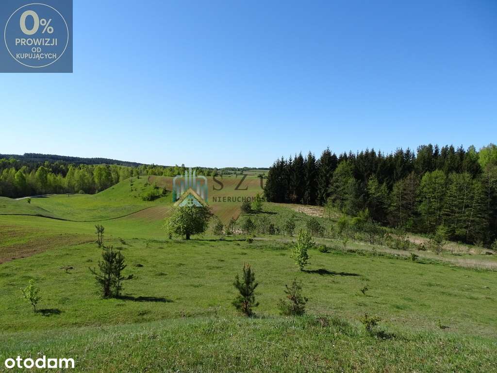 Urokliwe działki nad jeziorem 5 km od Suwałk - Pełny obrazek: 2/20