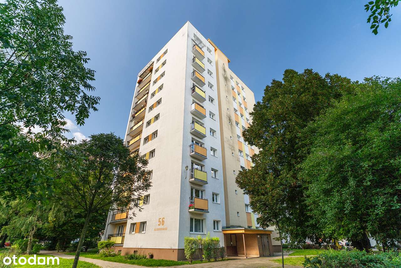 Rozkładowe 3 pokoje | osobna kuchnia | Grunwald | bez prowizji-13