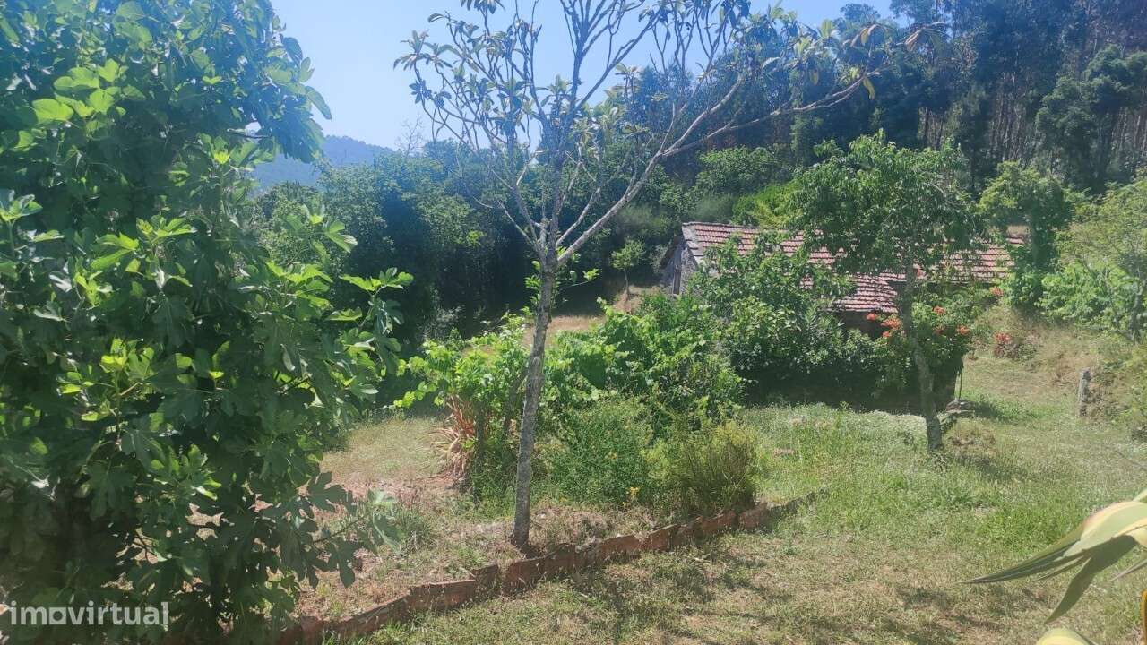 Casa/ Ruína em S. Miguel do Mato-9