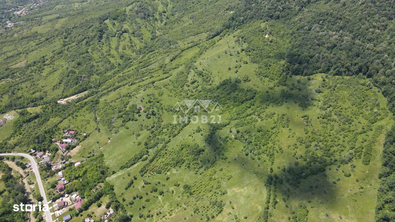 Teren spectaculos cu padure, livada si priveliste panoramica in Soimar-13