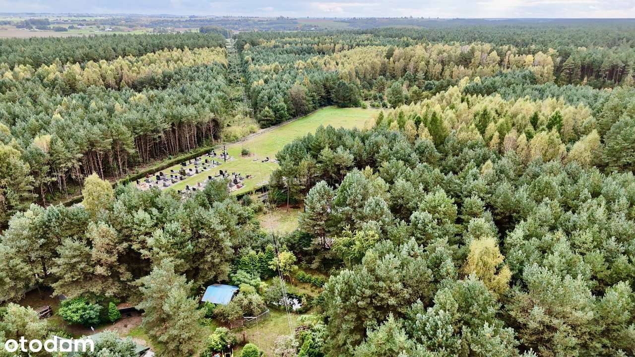 Działka na sprzedaż, Jamielnik1 - Pełny obrazek: 5/16