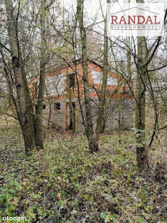 Zespół Pałacowo-parkowy - Pełny obrazek: 4/9