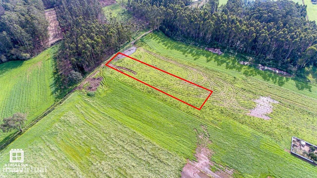 Terreno para cultivo em S. Vicente de Pereira Jusã - Exclusivo - Grande imagem: 2/12