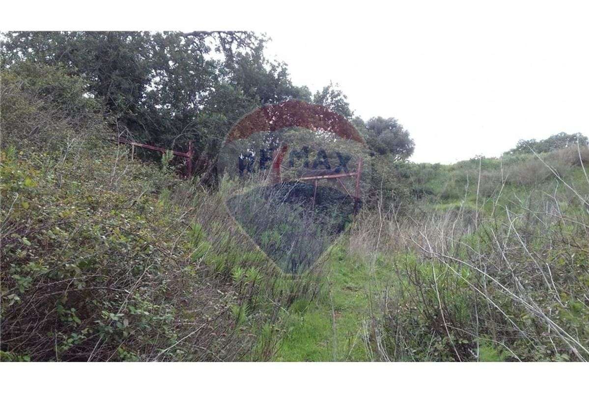 Terreno T0 para venda - Grande imagem: 2/7