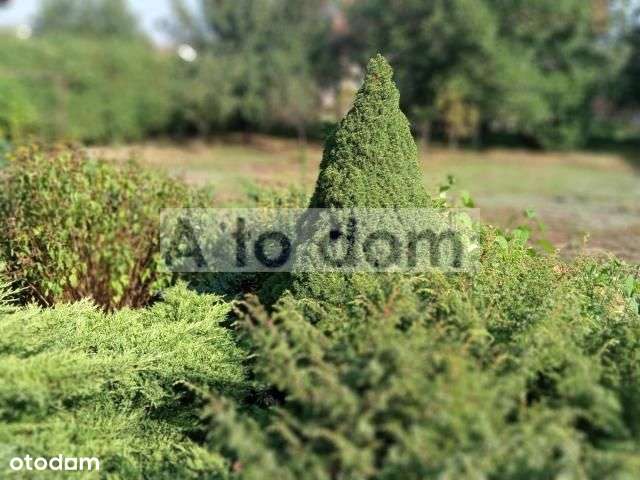 Parterowy Wolnostojący - Pełny obrazek: 4/12