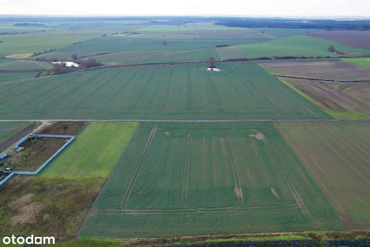 Działki budowlane Kowalów gmina Rzepin - Pełny obrazek: 4/4