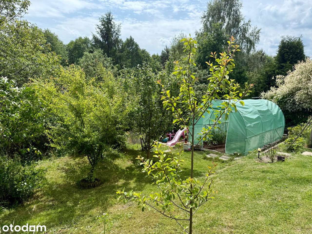 Działka ROD Zielony z domkiem, zadbana-2