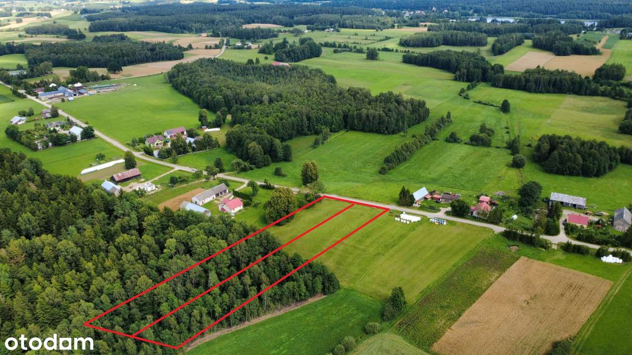 Becejły - działka z własnym lasem