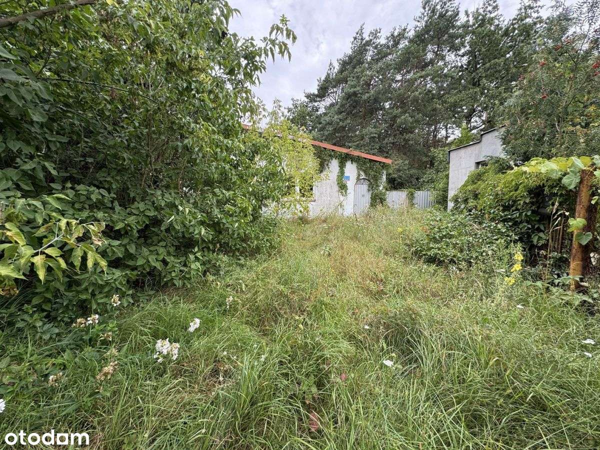 Pół działki, cały dom i pełen potencjał - Pełny obrazek: 5/11