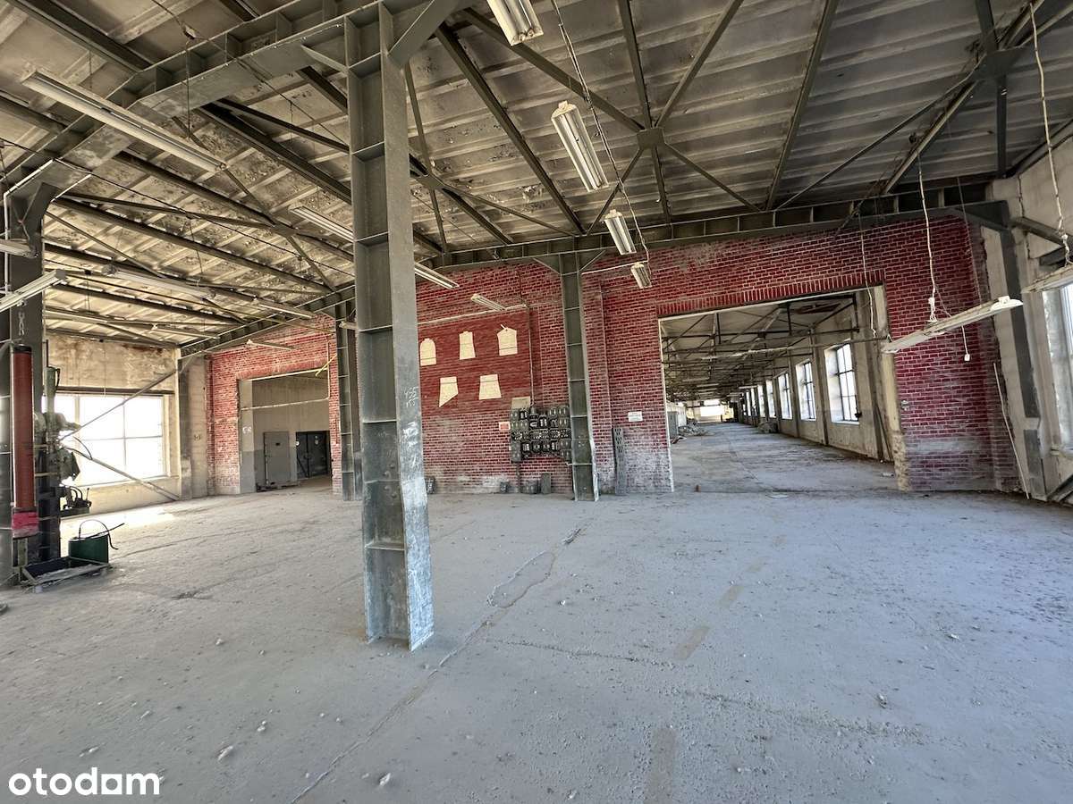 Hala Magazynowa 13500m² - Gotowe do Użytku - Pełny obrazek: 5/9