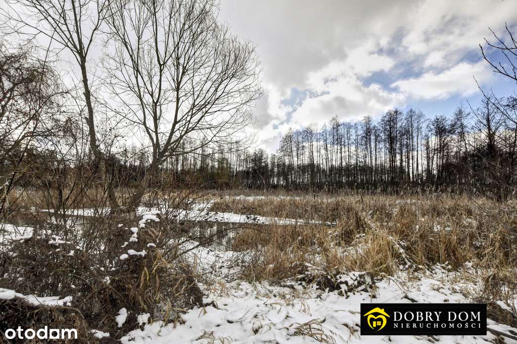 Dom nad rzeką Sidrą - Pełny obrazek: 4/9