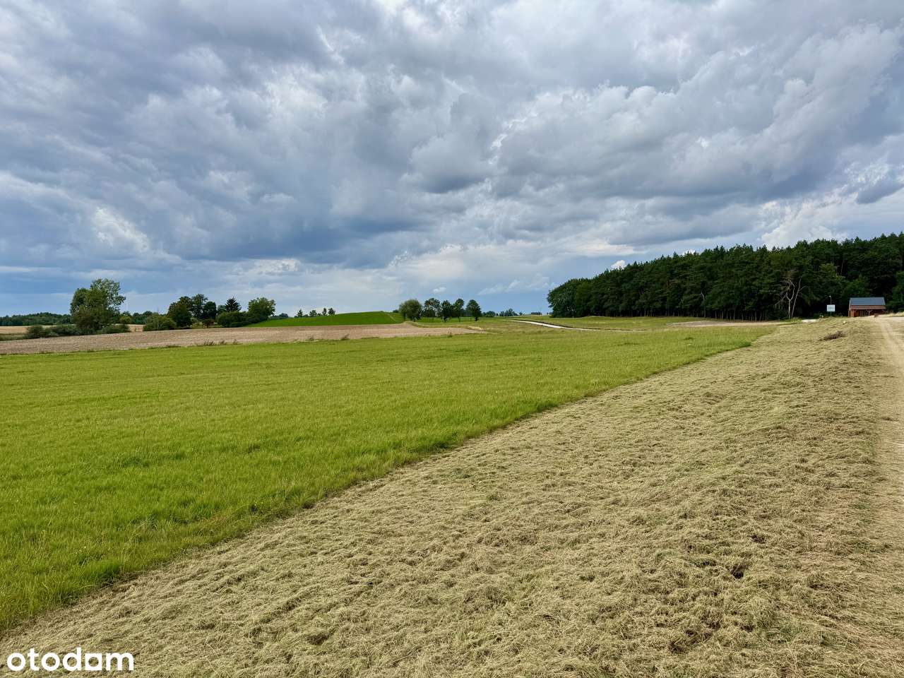 DZIAŁKA nad jeziorem przy plaży z mediami i MPZP-3