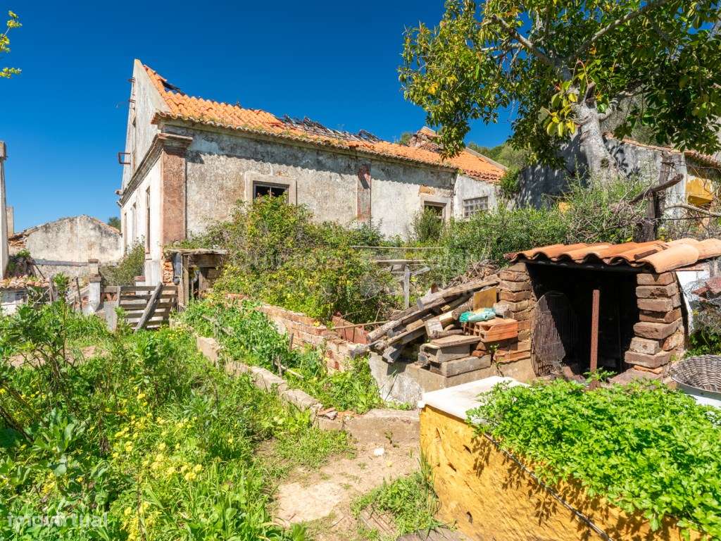 Quinta com casa em ruína para reabilitar em Santiago do Cacém - Grande imagem: 5/28
