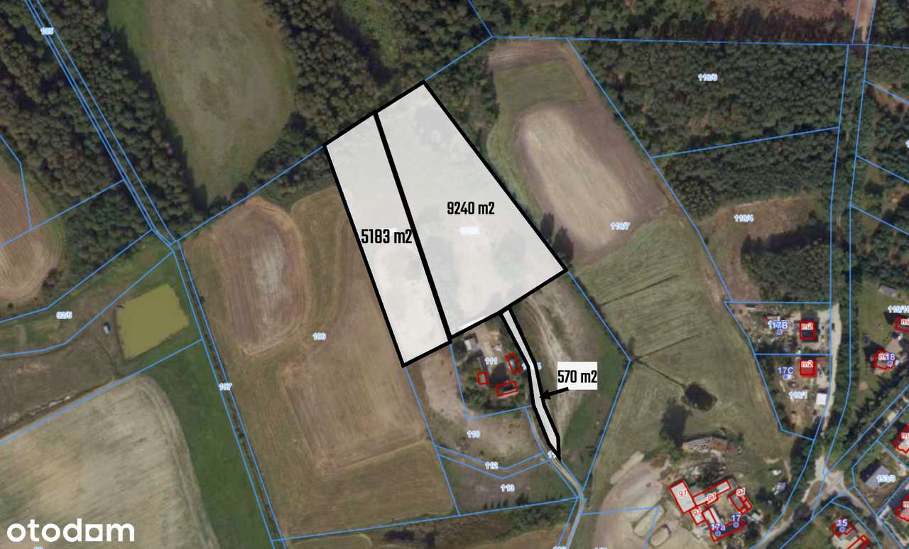 Wyjątkowy grunt przy lesie | starodrzew, staw | Dębówiec, gm. Gniezno - Pełny obrazek: 4/7