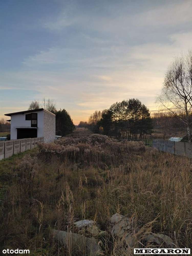 Działka, 7 998 m², Gęzyn-2