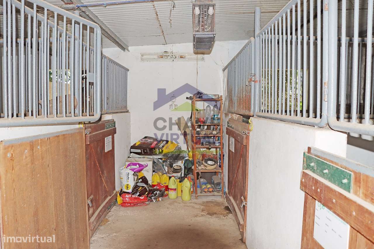 Magnífica Quinta c/ 10.490 m2 Concelho Cadaval-27