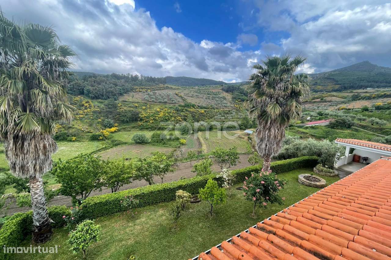 Quinta com Moradia V3 de 2 Pisos, Garagem e Olival – São Pedro, Vei...-7