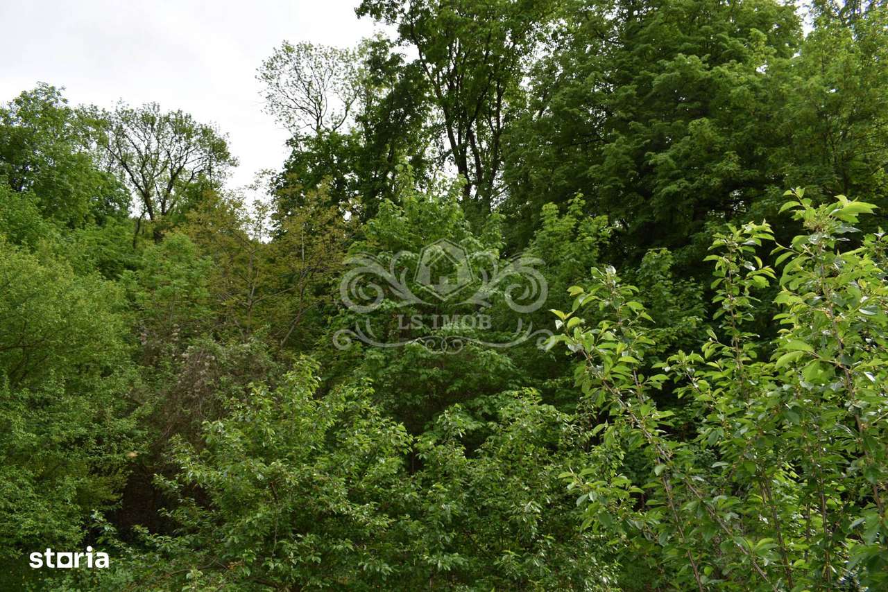 Vând Vilă deosebită cu 5 camere in Centrul Brașovului-15