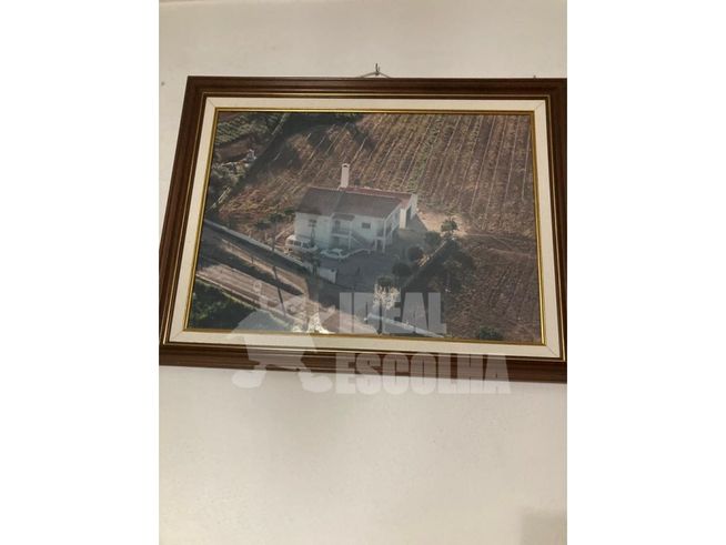 T3 ODEMIRA 379 000€.
MONTE ALENTEJANO ..-0