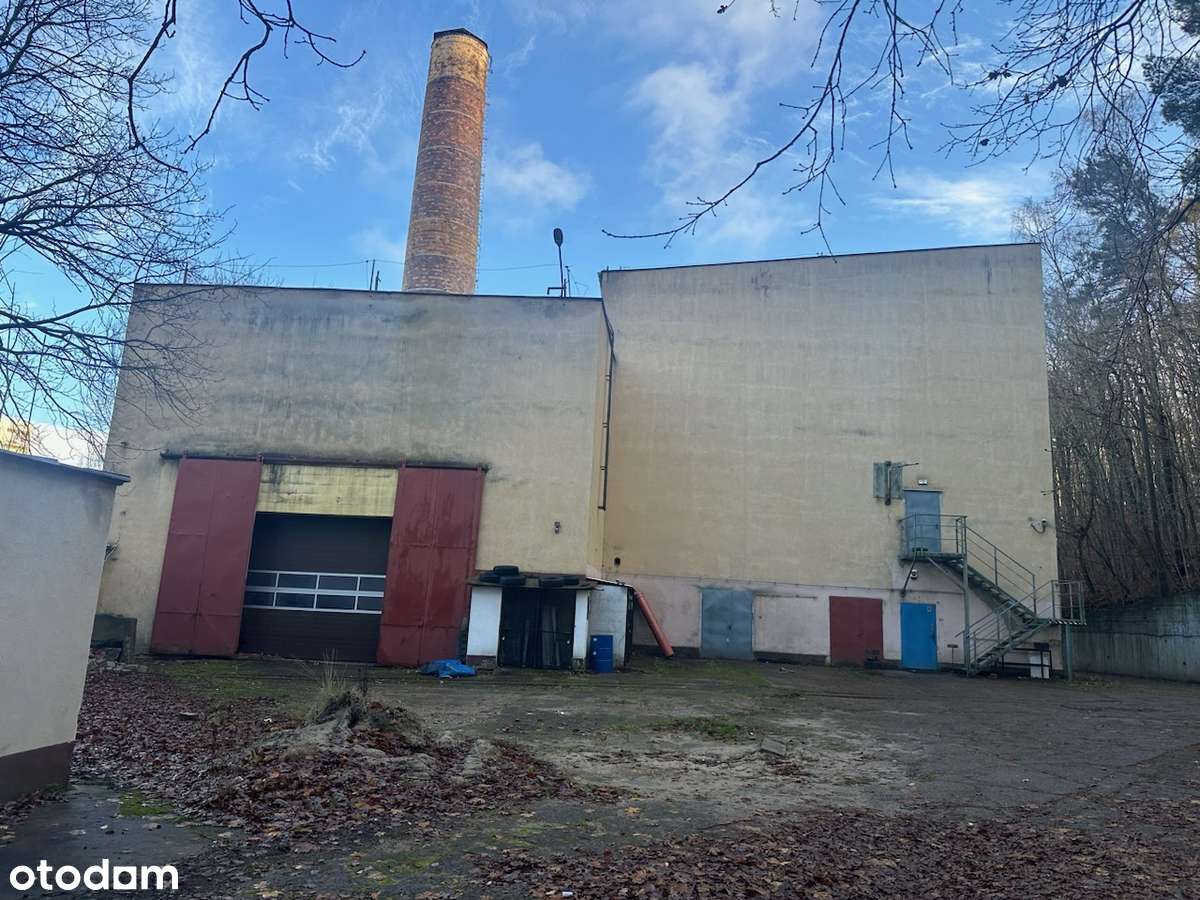 Do wynajęcia: obiekt biurowo-magazynowy Sopot, ul. Cieszyńskiego 15–17 - Pełny obrazek: 2/16