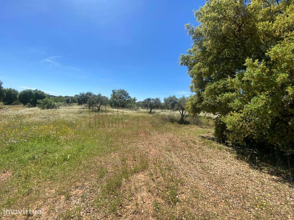 Quinta em Vila Nova de São Bento, com uma ruina para ser recuperada... - Grande imagem: 5/42