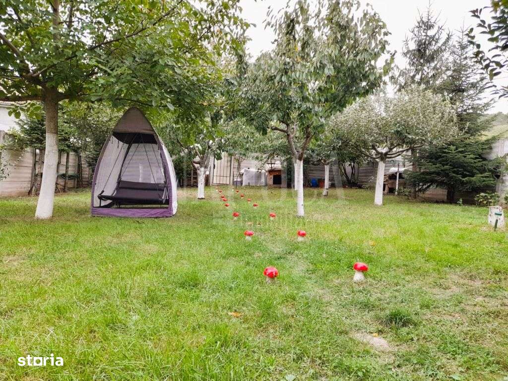 Casa 3 camere de vanzare in Podgoria Oradea, Oradea - Imagine principală: 4/14