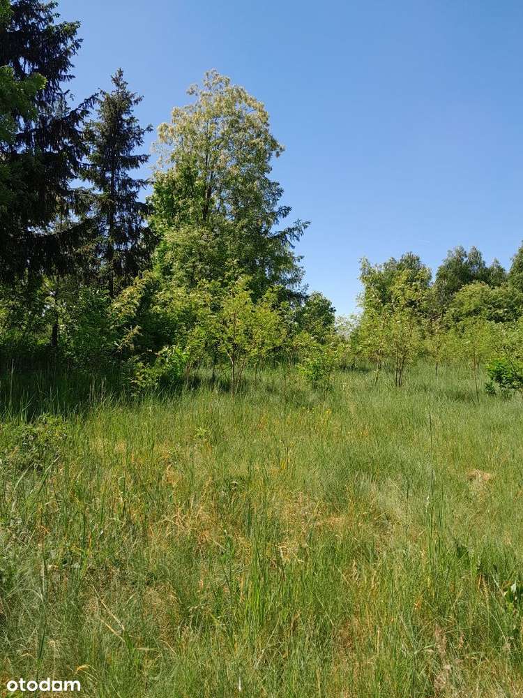 Sprzedam działkę na granicy Żarek i Mętkowa - 18a - Pełny obrazek: 4/20