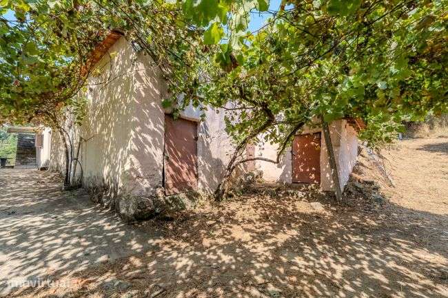 Moradia térrea em Moegas, Ribeira do Neiva - Vila Verde-8