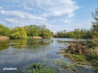 Lokalizacja - dla aktywnych osób / nad rzeką (las)