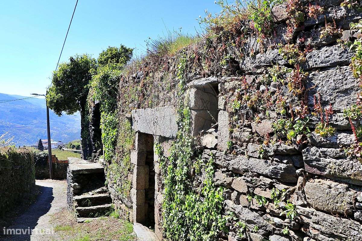 Quinta  para venda - Grande imagem: 5/38