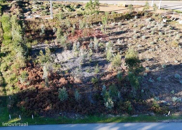 Terreno para venda em Águeda - Grande imagem: 4/9
