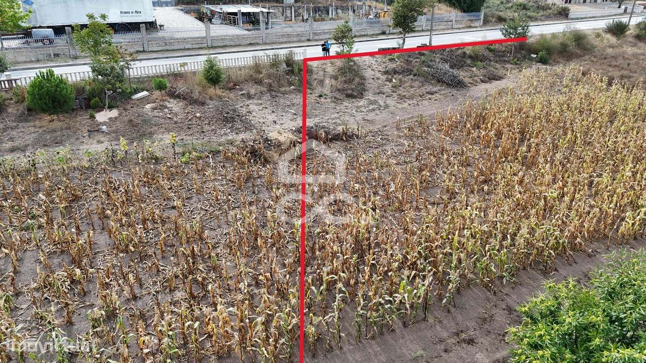 Lote para construção de uma moradia unifamiliar junto a Estrada Nacion - Grande imagem: 5/10