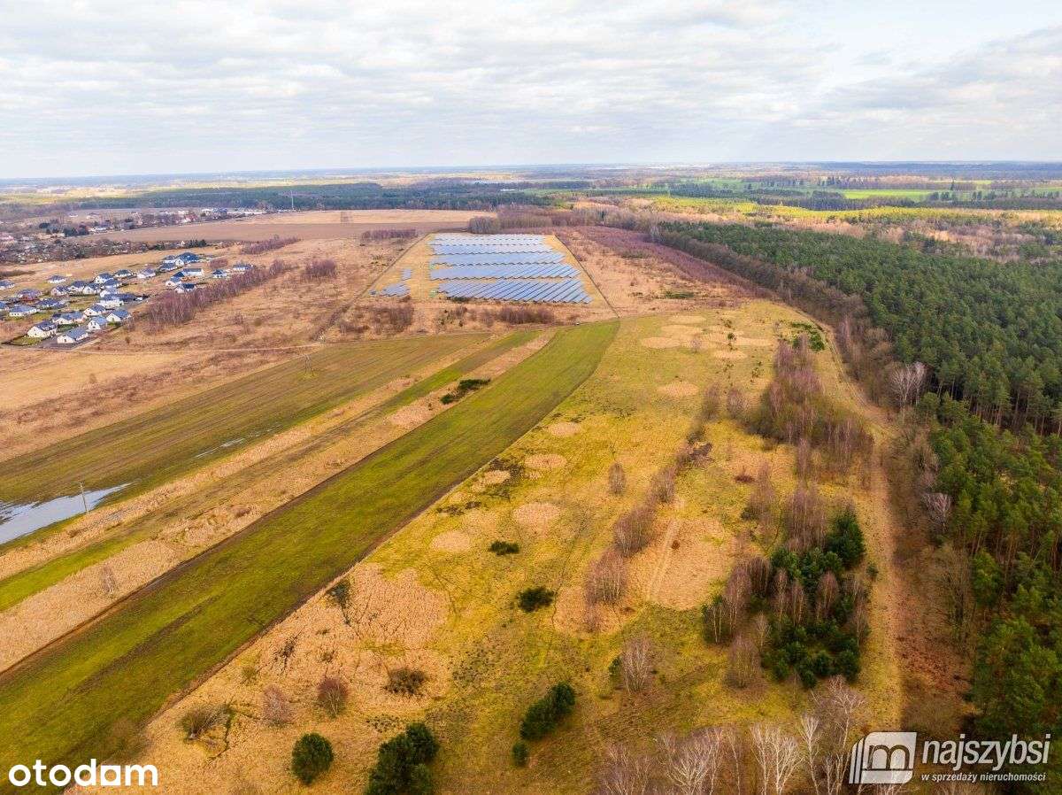 Nowe Kulice - działka 1,73ha - Pełny obrazek: 4/12