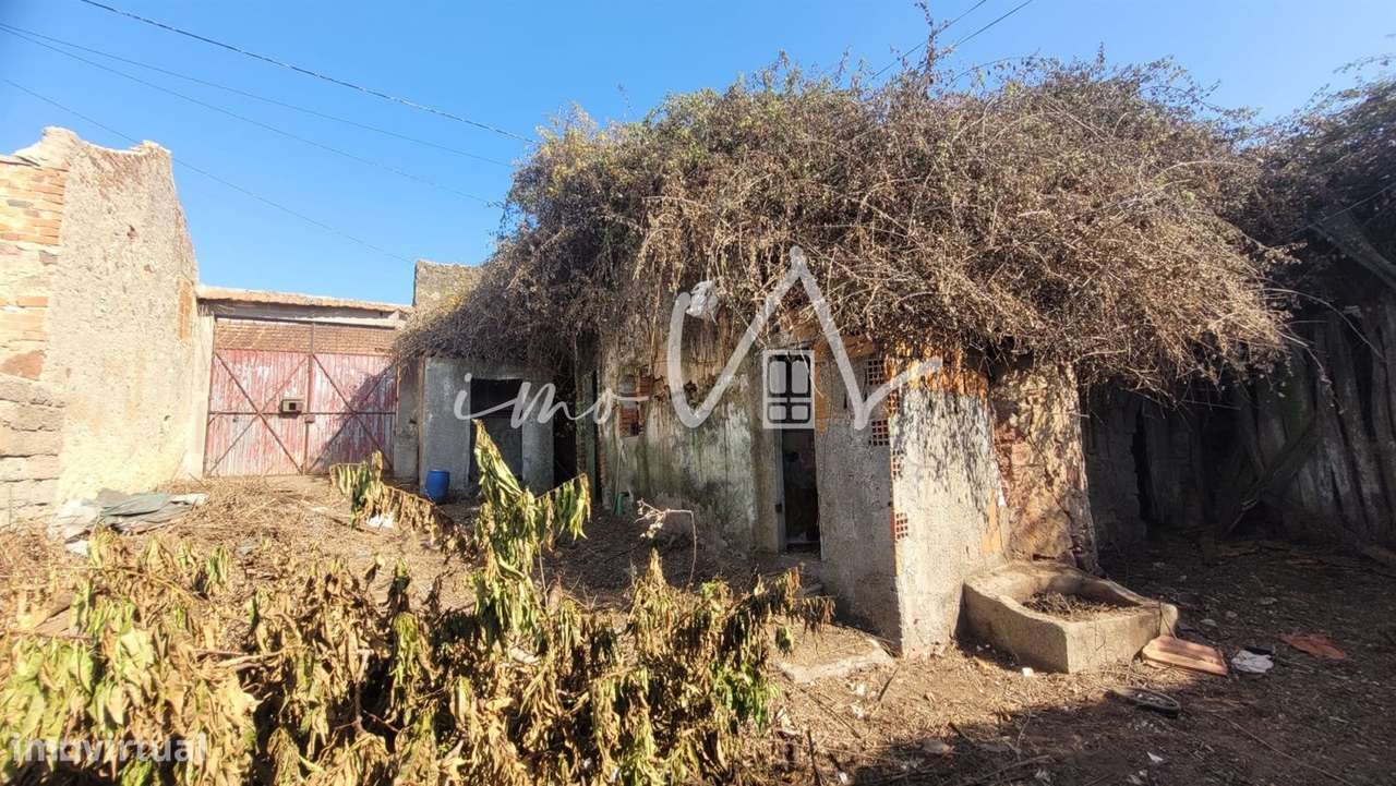 Moradia para reconstruir na Vacariça - Grande imagem: 4/13