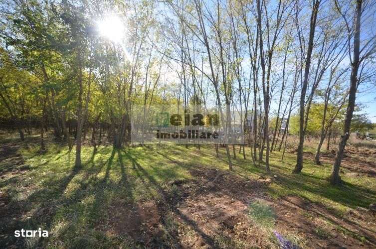 Snagov Ciofliceni Mânastire- Teren 1432 mp, d 60 m, curent gaze asfalt-7