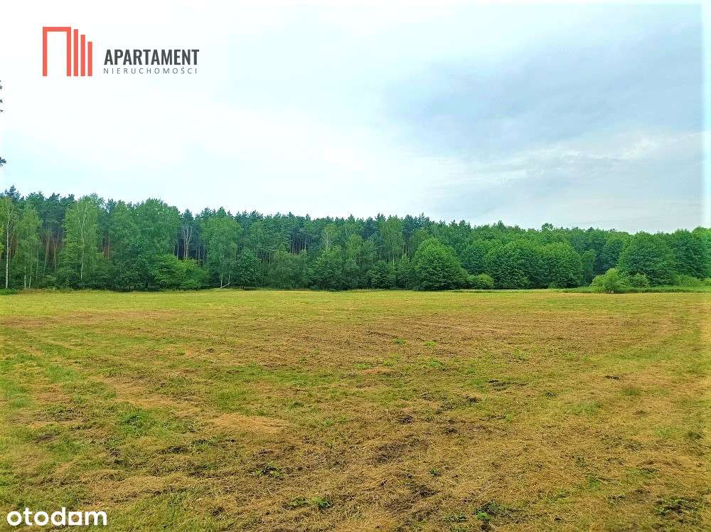 Tylko U Nas - Pawłówek 1,8Ha Las Cisza Spokój - Pełny obrazek: 4/7