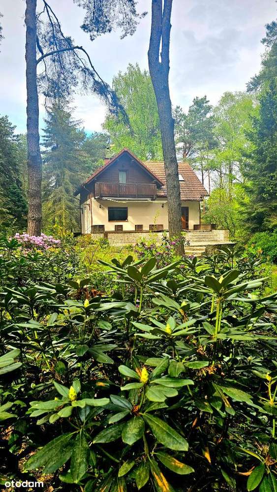 Dom jednorodzinny w Zofiówce koło Tuszyna-6