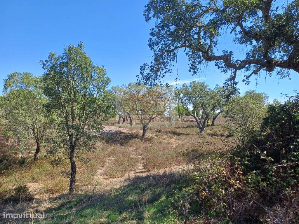 Propriedade com 73 ha com várias ruínas para recuperar a 20 minutos... - Grande imagem: 5/10