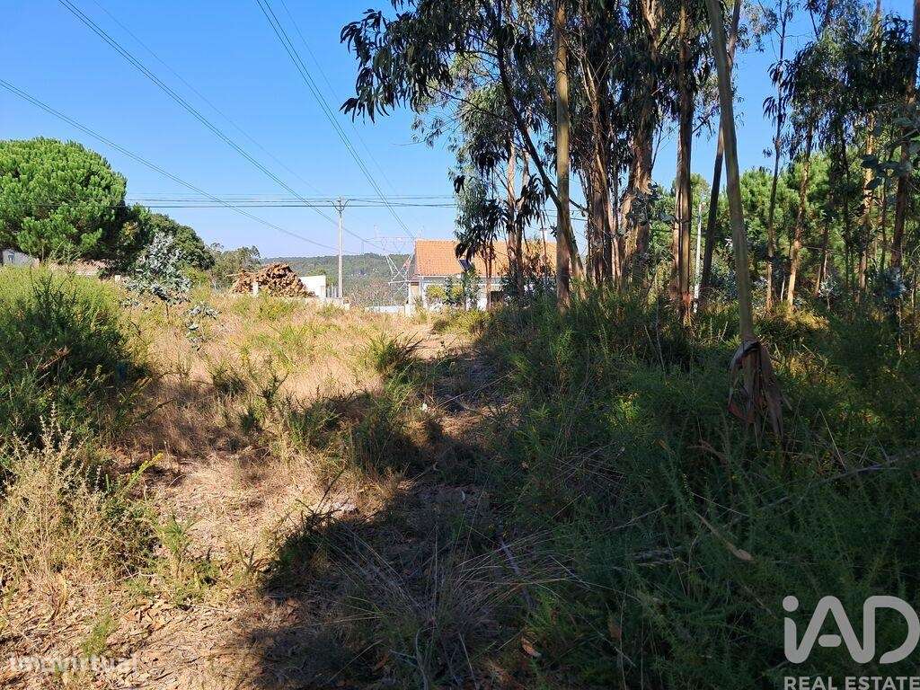 Terreno para construção em Souto da Carpalhosa e Ortigosa de 2154,00 m - Grande imagem: 3/17