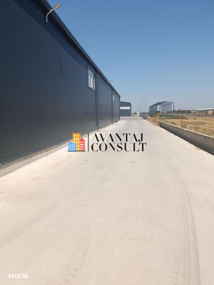 Vanzari Hala 580.4 Magurele Centura-7