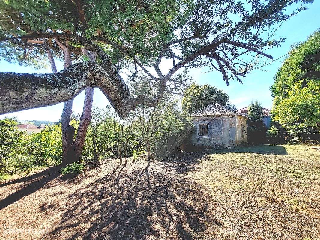 Moradia T3 para venda-5