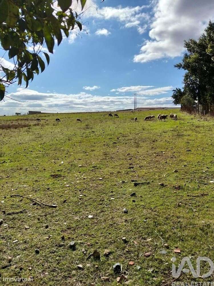 Terreno Agrícola em Baleizão - Grande imagem: 2/5