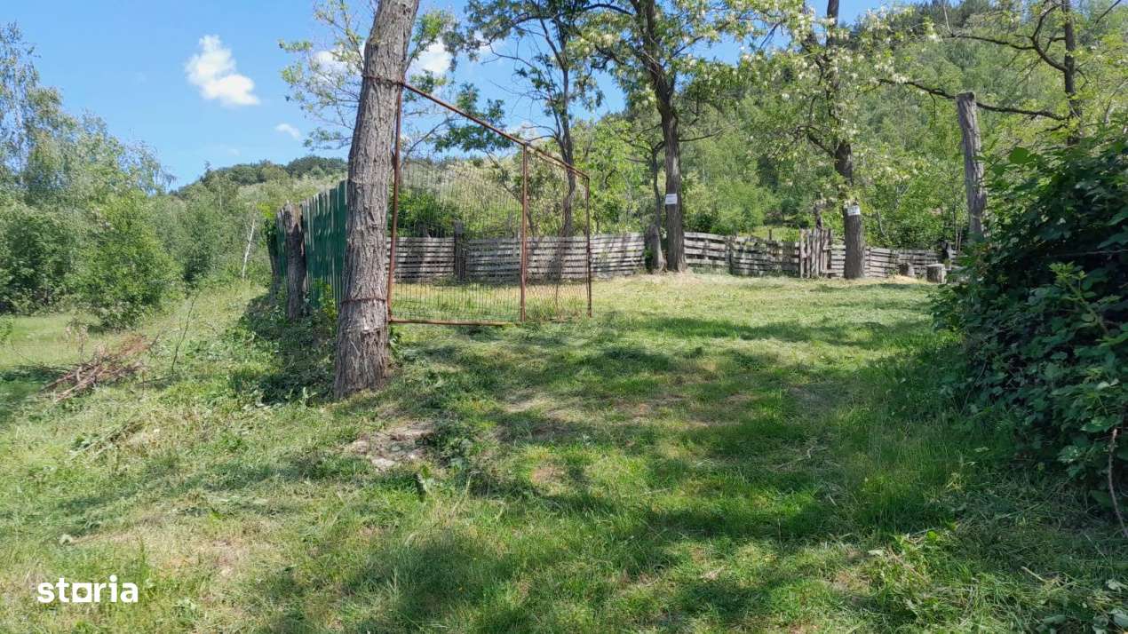 Teren extravilan de vanzare – Stanesti, 3.861 mp, livada de ciresi-11