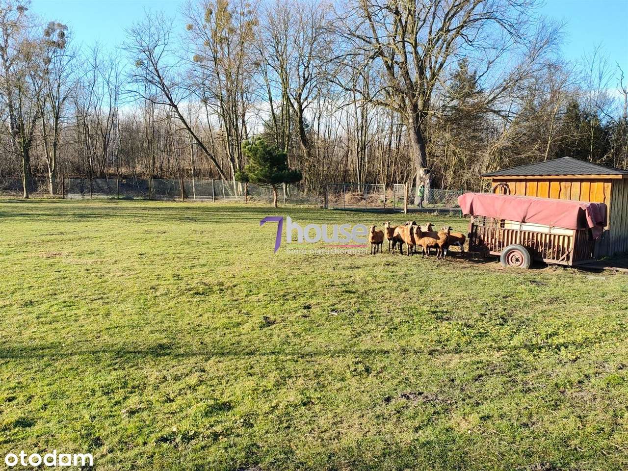 Urokliwa działka budowlano-usługowa 1639m2 - Pełny obrazek: 5/6