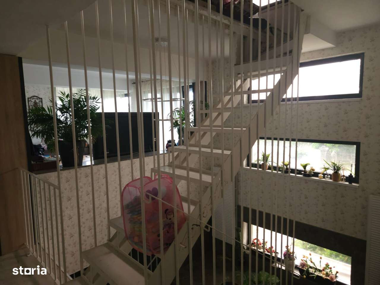 Vila 750 mp Cernica-8