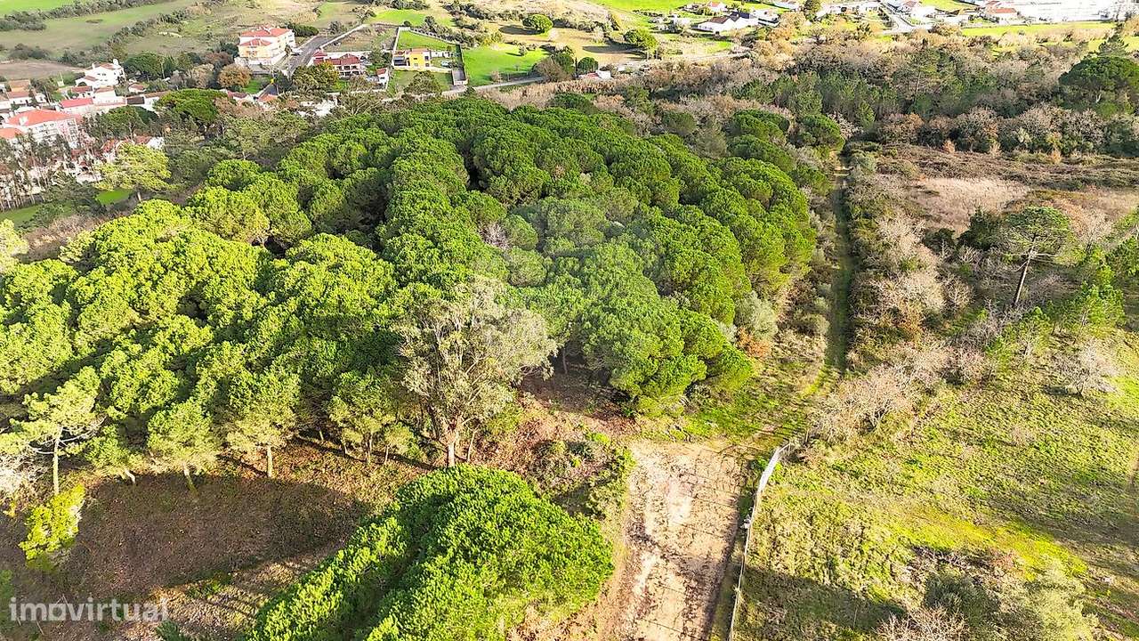 Terreno  para venda - Grande imagem: 3/7